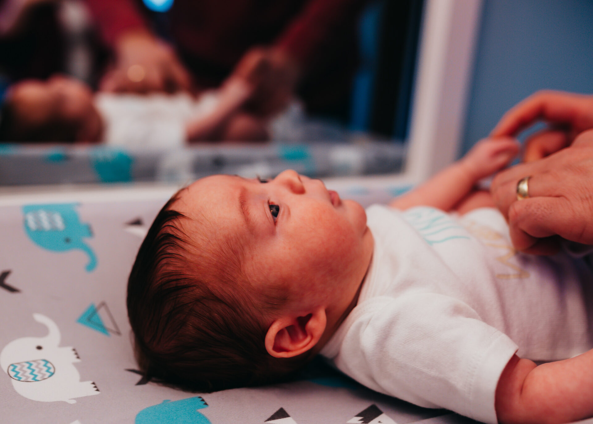 Newborn Photography| Moments by Wendy| Bayside Newborn Photography